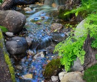 Streams, Westlake, CA