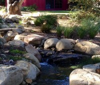 Streams, Encino, CA