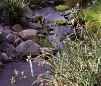 Streams, Los Angeles, CA