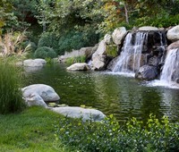 Waterfalls, Los Angeles, CA 