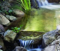 Garden Pond, Westlake, CA