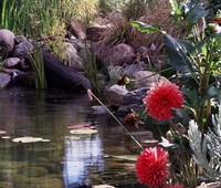 Residential Pond Installation, Northridge, CA 