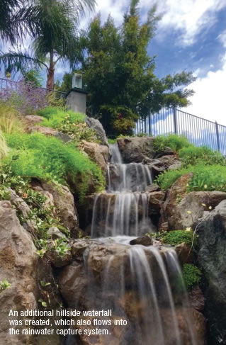 An additional hillside waterfall was created, which also flows into the rainwater capture system. 