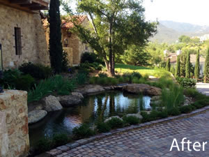 Koi Pond in Thousand Oaks CA - After